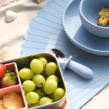 Seashell Silicone Lunch Box + Seashell Insulated Drinking Bottle 350ML - Blue - Bimbo Concept
